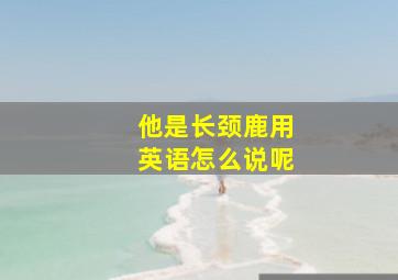 他是长颈鹿用英语怎么说呢