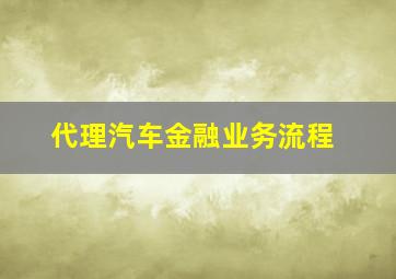 代理汽车金融业务流程