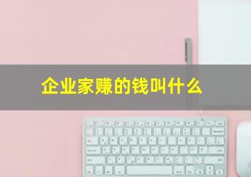 企业家赚的钱叫什么