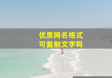 优质网名格式可复制文字吗