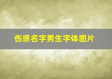 伤感名字男生字体图片