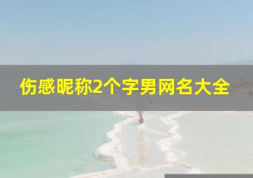 伤感昵称2个字男网名大全