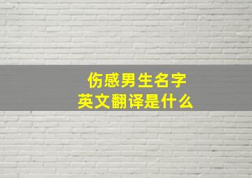 伤感男生名字英文翻译是什么