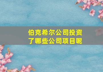 伯克希尔公司投资了哪些公司项目呢