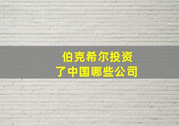 伯克希尔投资了中国哪些公司