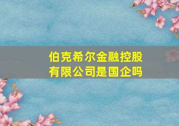 伯克希尔金融控股有限公司是国企吗