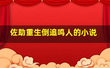 佐助重生倒追鸣人的小说