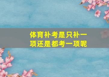 体育补考是只补一项还是都考一项呢