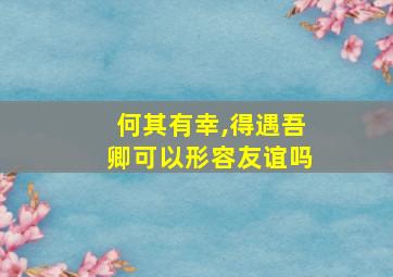 何其有幸,得遇吾卿可以形容友谊吗