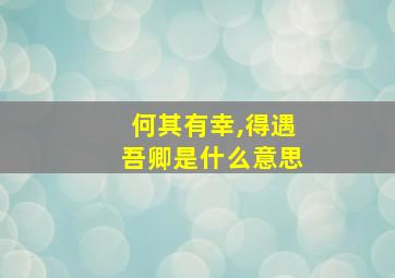 何其有幸,得遇吾卿是什么意思