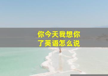 你今天我想你了英语怎么说