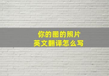 你的图的照片英文翻译怎么写