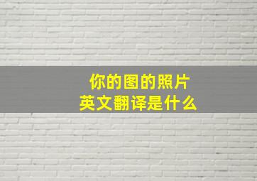 你的图的照片英文翻译是什么