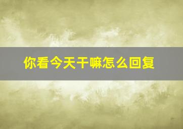 你看今天干嘛怎么回复