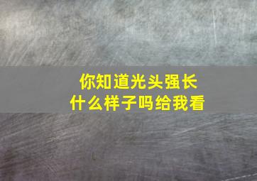 你知道光头强长什么样子吗给我看