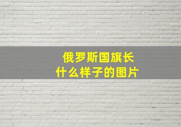 俄罗斯国旗长什么样子的图片