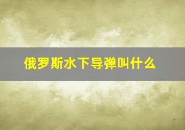 俄罗斯水下导弹叫什么