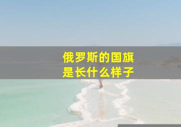 俄罗斯的国旗是长什么样子