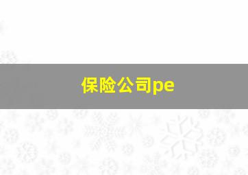 保险公司pe