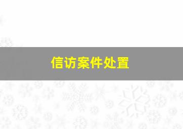 信访案件处置