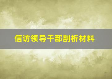 信访领导干部剖析材料