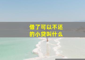 借了可以不还的小贷叫什么