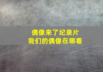 偶像来了纪录片我们的偶像在哪看