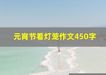 元宵节看灯笼作文450字