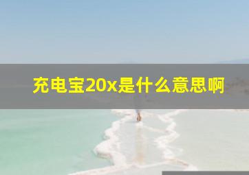 充电宝20x是什么意思啊