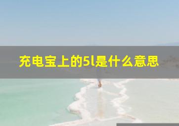 充电宝上的5l是什么意思