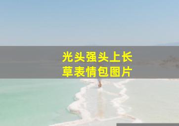 光头强头上长草表情包图片