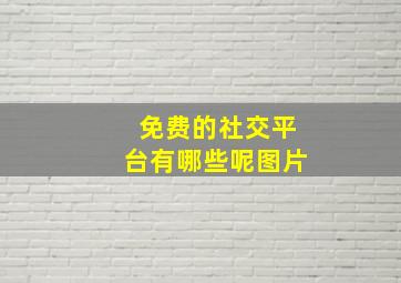 免费的社交平台有哪些呢图片