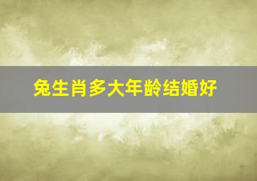 兔生肖多大年龄结婚好