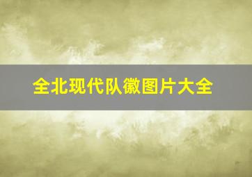 全北现代队徽图片大全