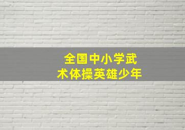 全国中小学武术体操英雄少年