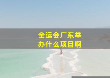 全运会广东举办什么项目啊