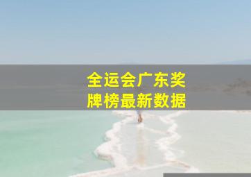 全运会广东奖牌榜最新数据