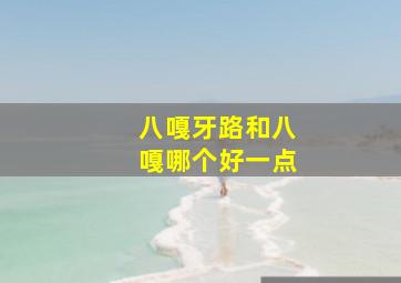 八嘎牙路和八嘎哪个好一点