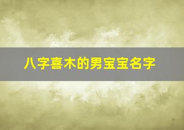 八字喜木的男宝宝名字