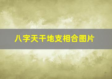 八字天干地支相合图片