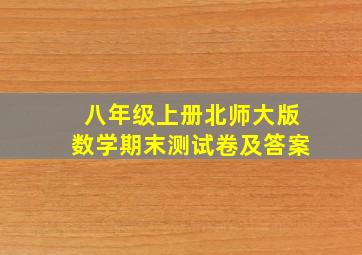 八年级上册北师大版数学期末测试卷及答案