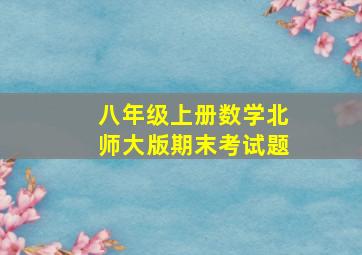 八年级上册数学北师大版期末考试题