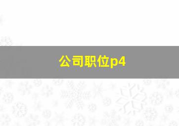 公司职位p4