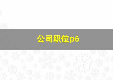 公司职位p6