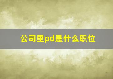 公司里pd是什么职位