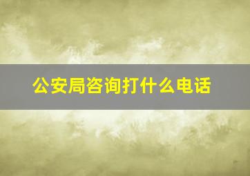 公安局咨询打什么电话