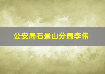 公安局石景山分局李伟