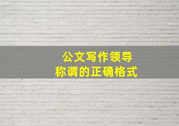 公文写作领导称谓的正确格式