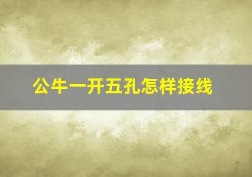 公牛一开五孔怎样接线