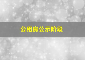 公租房公示阶段